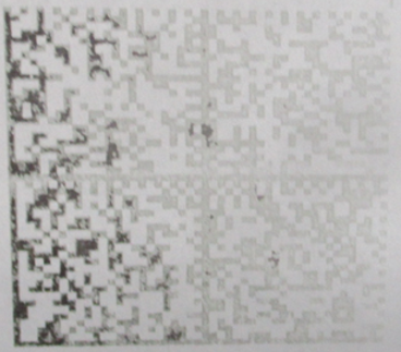 518_SW5zdHJ1a3RzaXlhIHBvIG1hcmtpcm92a2UgcHJvZHVrdHNpaSBEYXRhIE1hdHJpeCBEdWtoaSBpIHR1YWxldG5heWEgdm9kYSA4.png 518_SW5zdHJ1a3RzaXlhIHBvIG1hcmtpcm92a2UgcHJvZHVrdHNpaSBEYXRhIE1hdHJpeCBEdWtoaSBpIHR1YWxldG5heWEgdm9kYSA4.png